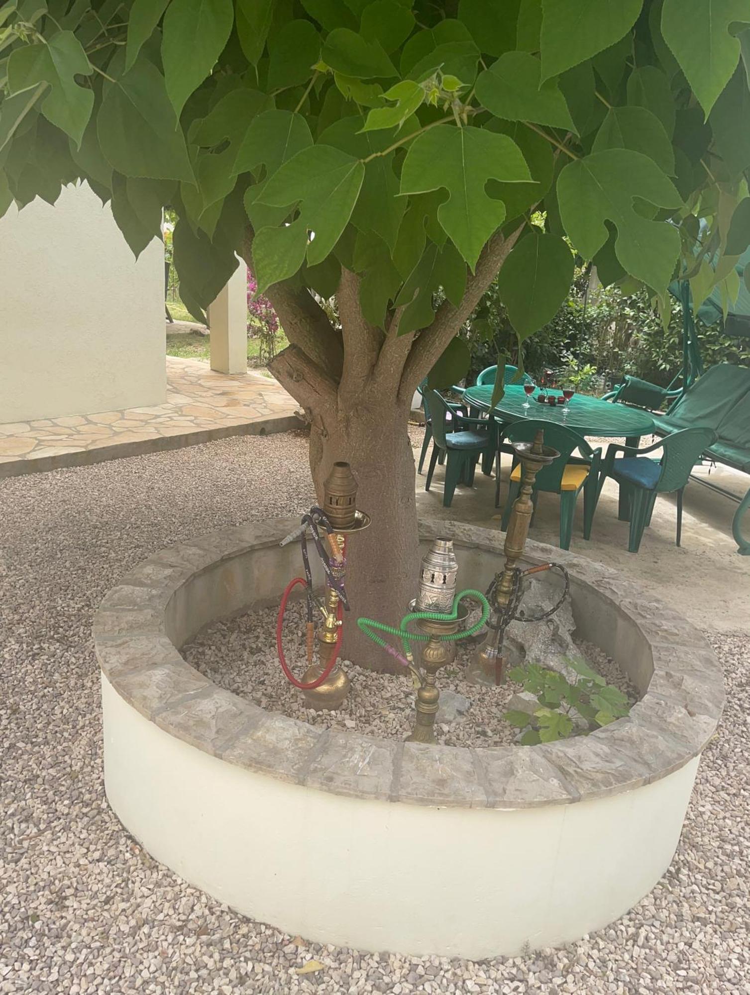 Holiday Home 1 Bibinje Εξωτερικό φωτογραφία