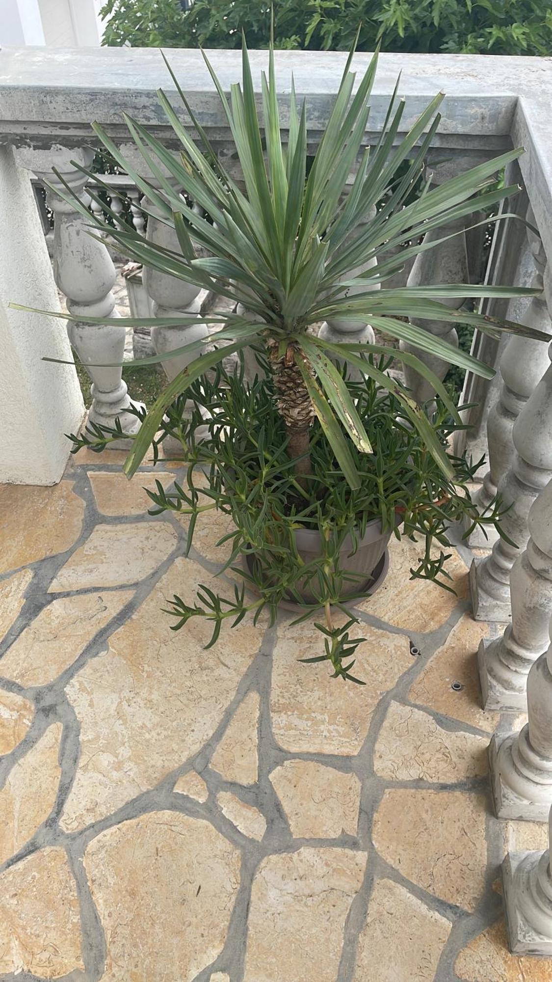 Holiday Home 1 Bibinje Εξωτερικό φωτογραφία